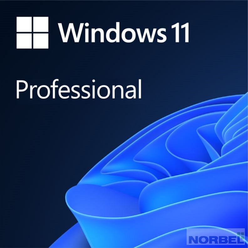 Microsoft Неисключительное право на использование ПО Windows 11 FQC-10529 Professional English 64-bit