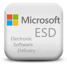 ПО Microsoft ESD (электронные ключи, с НДС))