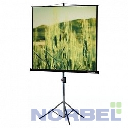 Lumien Экраны Eco View LEV-100101 Экран на треноге 150x150 см 1:1 напольный рулонный
