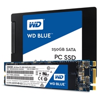 SSD WD